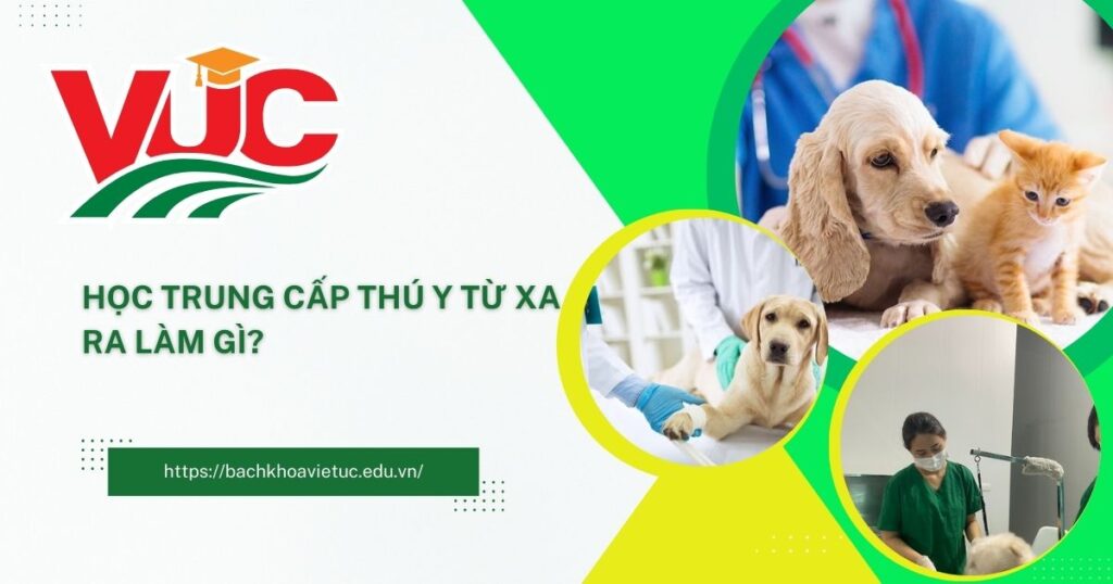 Trung cấp Thú y
