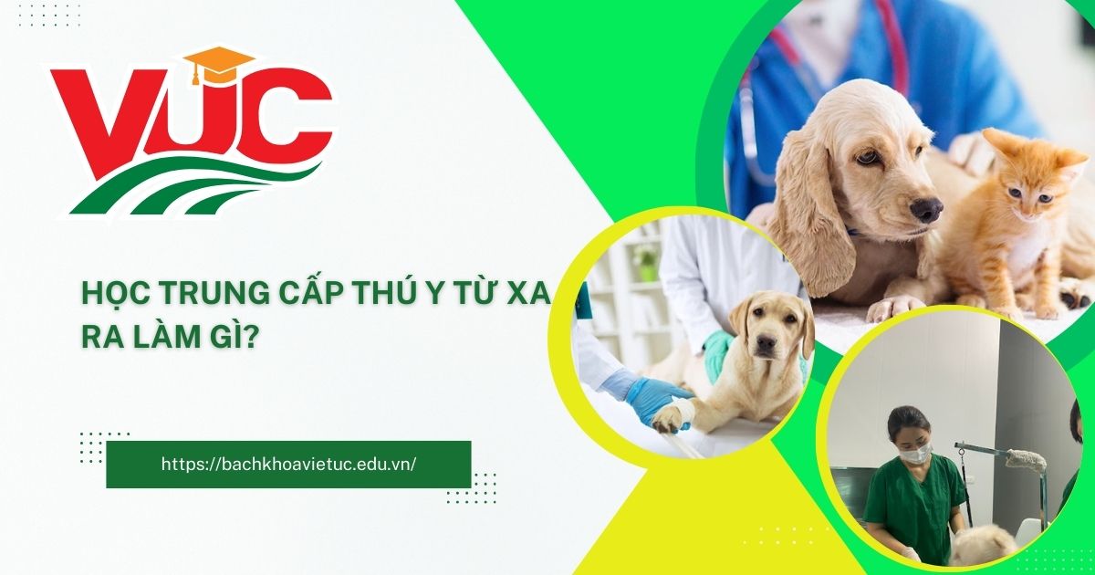Trung cấp Thú y