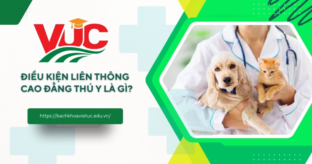 liên thông cao đẳng thú y