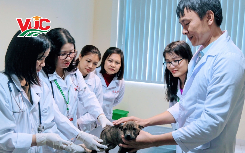 Chương trình đào tạo Trung cấp Thú Y uy tín