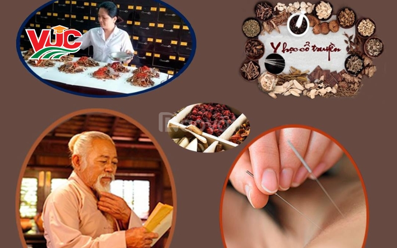 Học Trung cấp Y học cổ truyền vừa học vừa làm ở đâu uy tín? 6 Học Trung cấp Y học cổ truyền vừa học vừa làm ở đâu uy tín?