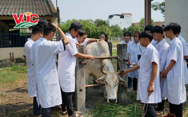 Thời gian học Trung cấp Thú y từ xa là bao lâu?