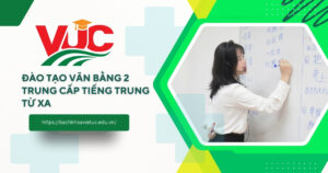 Học Văn bằng 2 Trung cấp Tiếng Trung