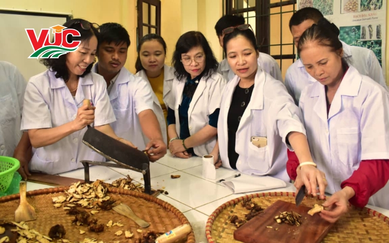 Học Trung cấp Y học cổ truyền vừa học vừa làm ở đâu uy tín? 7 Thông tin tuyển sinh Trung cấp Y học cổ truyền vừa học vừa làm