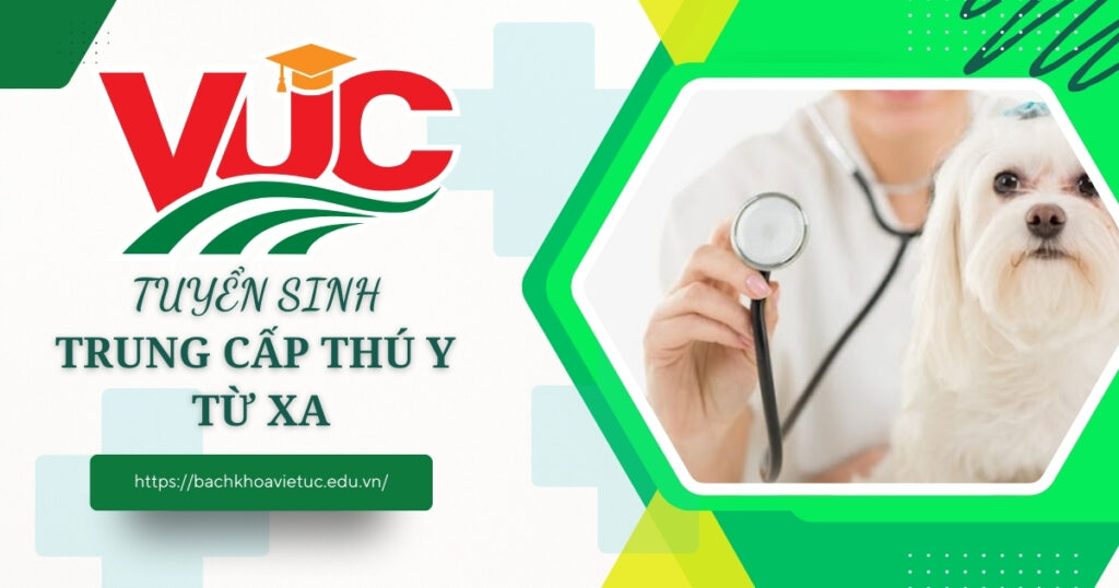 Trung cấp Thú Y từ xa