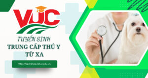 Trung cấp Thú Y từ xa