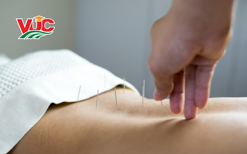 Học văn bằng 2 Trung cấp Y học cổ truyền 
