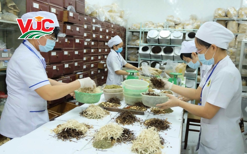Điều kiện học văn bằng 2 Trung cấp Y học cổ truyền