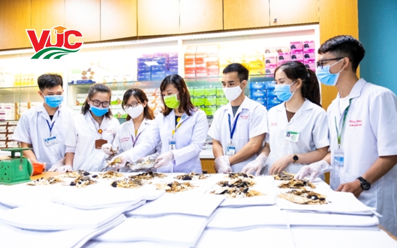 Trung cấp Y học cổ truyền cấp tốc có được nhận chứng chỉ hành nghề? 7 Thông tin tuyển sinh Trung cấp Y học cổ truyền cấp tốc