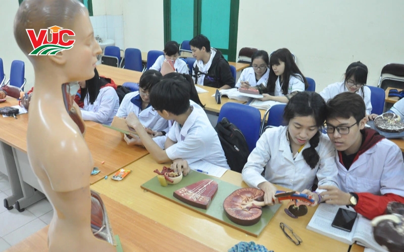 Tuyển sinh Trung cấp Y sĩ đa khoa cấp tốc mới nhất 7 Thông tin tuyển sinh Trung cấp Y sĩ đa khoa cấp tốc