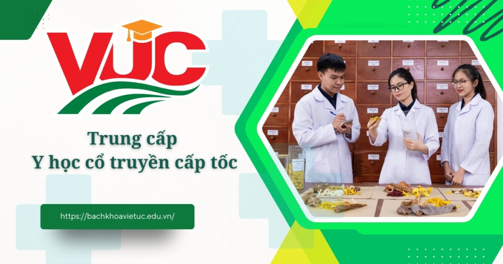 Trung cấp Y học cổ truyền cấp tốc có được nhận chứng chỉ hành nghề? 4 Trung cấp Y học cổ truyền cấp tốc