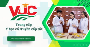Trung cấp Y học cổ truyền cấp tốc có được nhận chứng chỉ hành nghề? 2 Trung cấp Y học cổ truyền cấp tốc