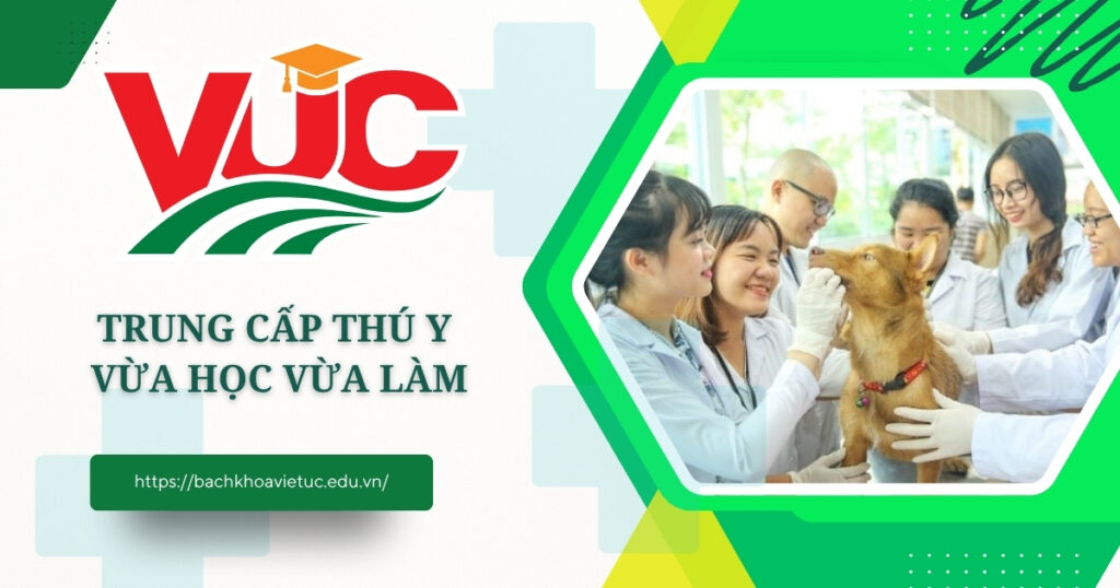 Trung cấp Thú y vừa học vừa làm