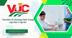Trung cấp Thú Y cấp tốc