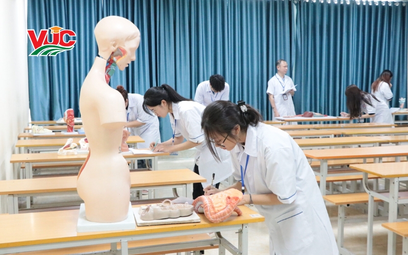 Sinh Viên Trung cấp Y sĩ Đa Khoa Sau Tốt Nghiệp