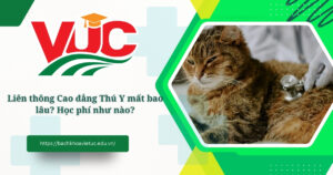 Liên thông Cao đẳng Thú Y mấy năm?