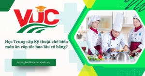 trung cấp kỹ thuật chế biến món ăn cấp tốc