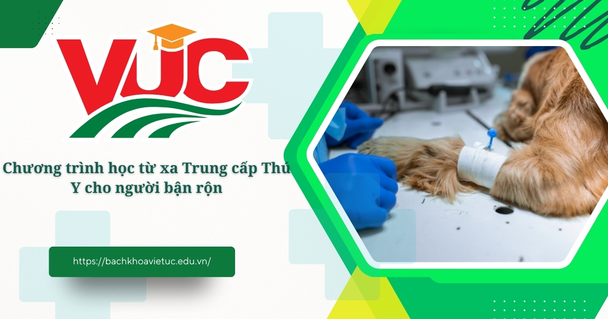 Chương trình học từ xa Trung cấp Thú Y cho người bận rộn 14 Chương trình học từ xa Trung cấp Thú Y cho người bận rộn