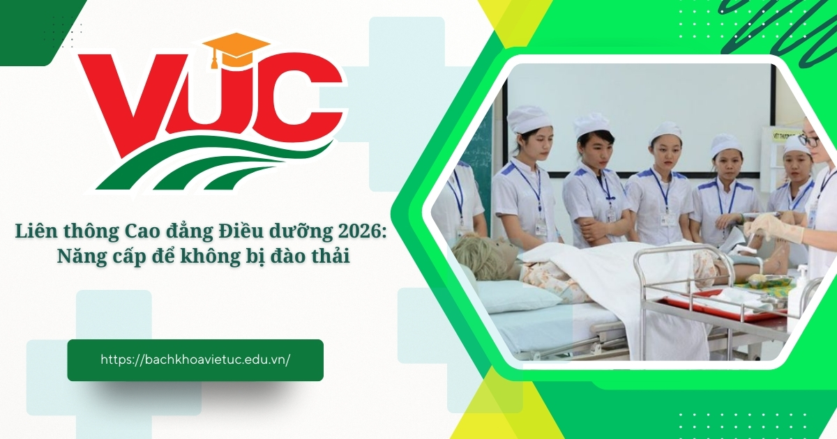 Chương trình học Liên thông Cao đẳng Điều dưỡng mới nhất 2026 7 Liên thông Cao đẳng Điều dưỡng