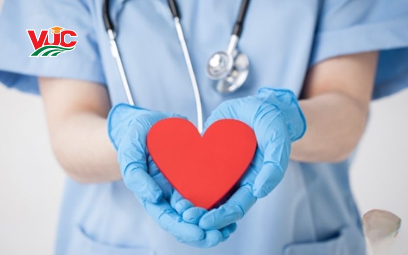 Chương trình học Liên thông Cao đẳng Điều dưỡng mới nhất 2026 7 Cơ hội việc làm sau khi liên thông Cao đẳng Điều dưỡng