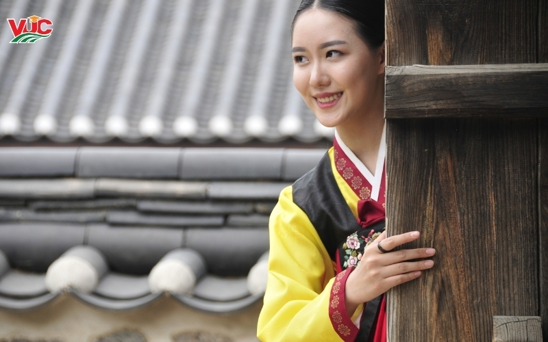 Tìm hiểu về Trung cấp Tiếng Hàn