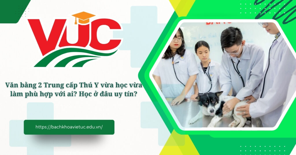 Van bang 2 trung cap thu y vua hoc vua lam phu hop voi ai