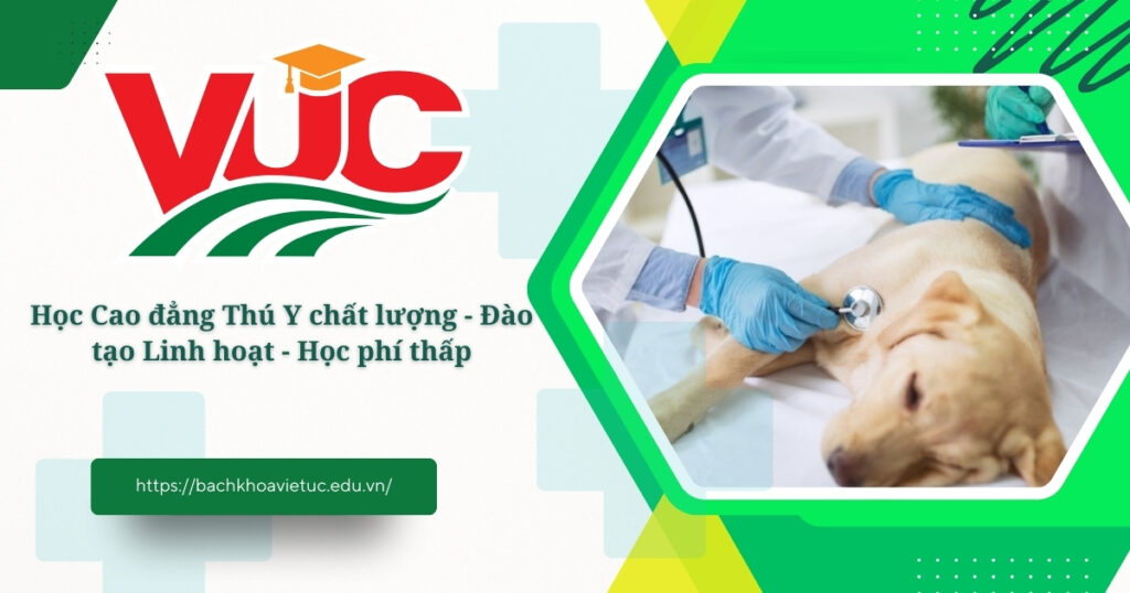 Cao đẳng thú y chất lượng