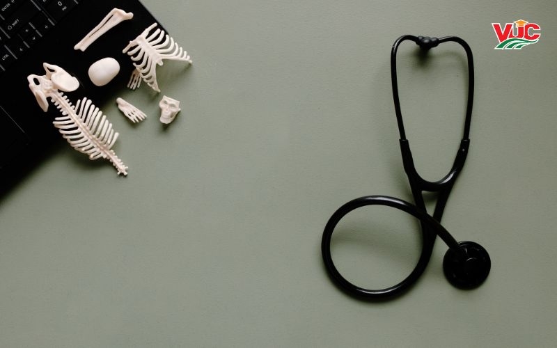 Bằng Trung cấp Điều dưỡng từ xa có thi biên chế được không? 7 Thông tin tuyển sinh Trung cấp Điều dưỡng từ xa