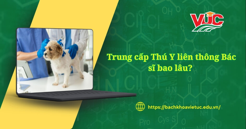 Trung cấp Thú Y liên thông Bác sĩ bao lâu