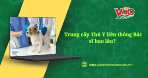 Trung cấp Thú Y liên thông Bác sĩ bao lâu