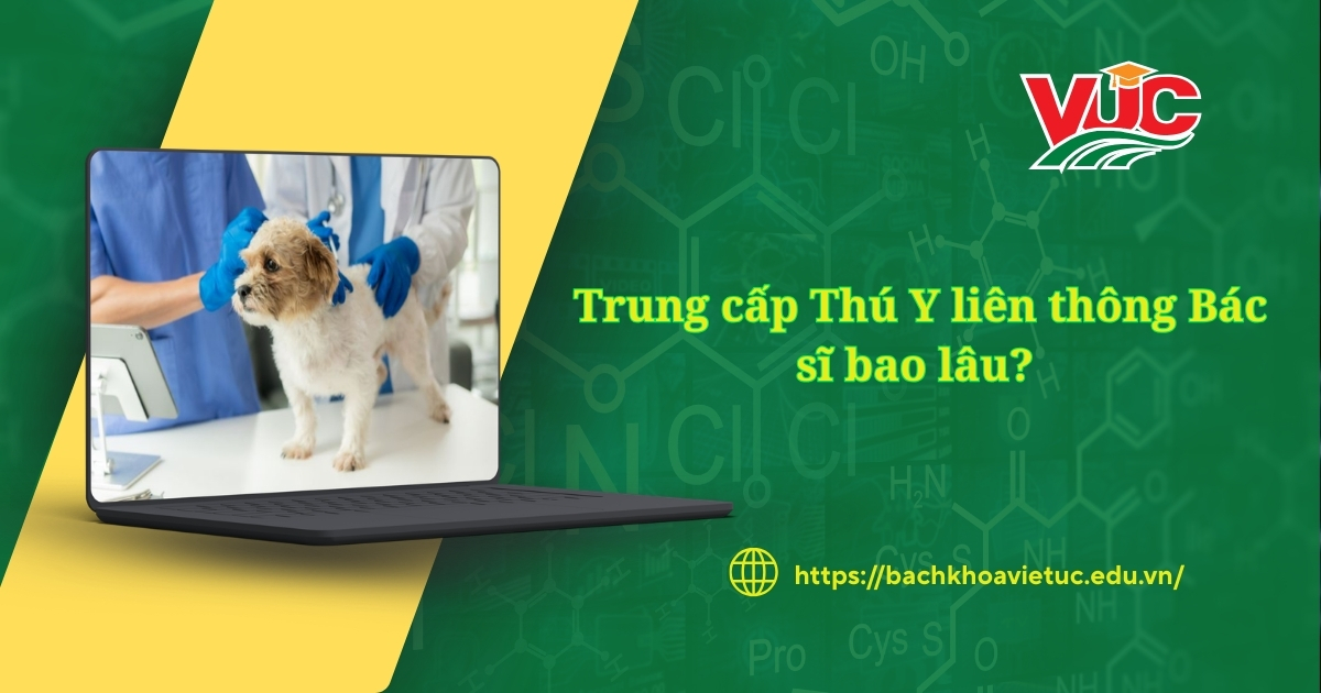 Trung cấp Thú Y liên thông Bác sĩ bao lâu