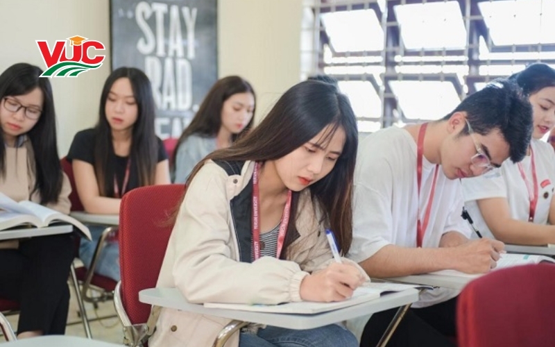 Đào tạo Trung cấp Tiếng Anh cấp tốc là như thế nào?