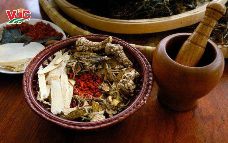 Liên thông Bác sĩ YHCT 2026: Lịch tuyển sinh và điều kiện mới nhất 6 Tại sao bạn nên liên thông Bác sĩ YHCT tại Trung cấp Bách Khoa Việt Úc?