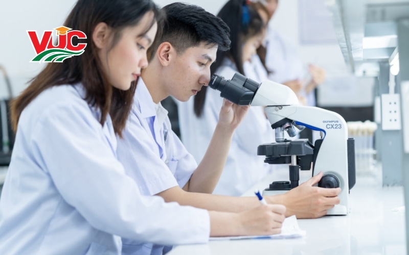 So sánh liên thông Cao đẳng Y sĩ đa khoa vừa học vừa làm với các hệ khác