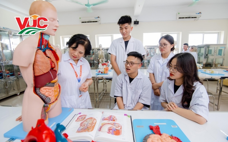 Tại sao phải liên thông Cao đẳng Y sĩ đa khoa vừa học vừa làm?