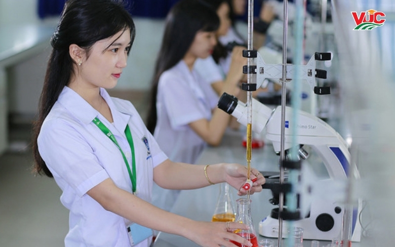 Top các trường đào tạo ngành Dược hệ từ xa uy tín khu vực Sài gòn 5 Tiêu chuẩn đánh giá một trường đào tạo ngành Dược hệ từ xa chất lượng