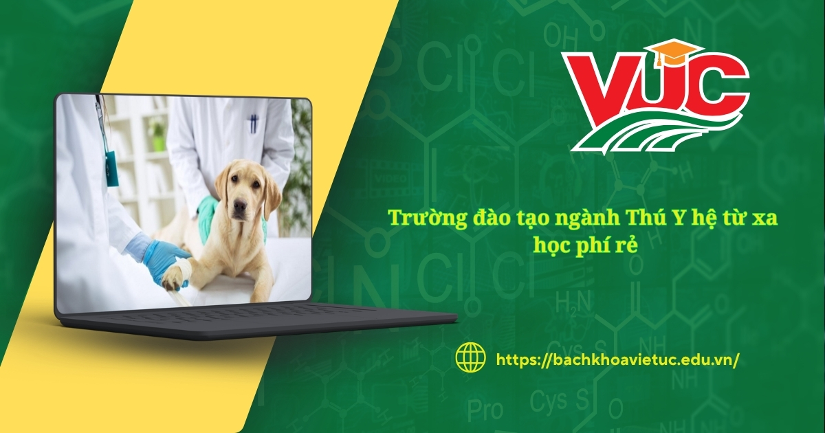 Trường đào tạo ngành Thú Y hệ từ xa - Học phí rẻ 9 Trường đào tạo Ngành Thú Y hệ từ xa học phí rẻ