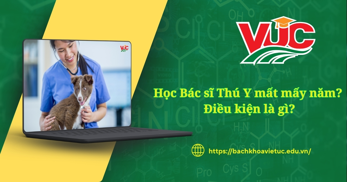 học bác sĩ thú y mất mấy năm?