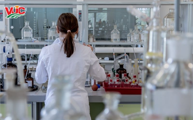 Thời gian học liên thông Bác sĩ Y đa khoa bao lâu? Học ở đâu? 6 Tại sao nên chọn học liên thông Bác sĩ Y đa khoa tại Trung cấp Bách Khoa Việt Úc?