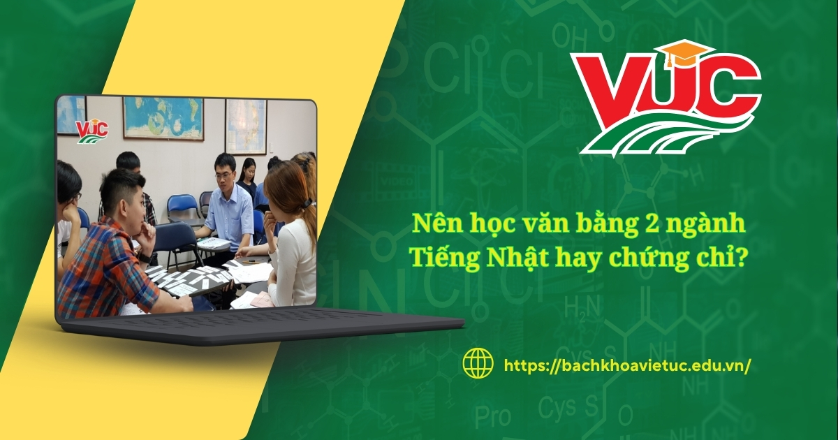 nên học Văn bằng 2 Ngành tiếng Nhật hay chứng chỉ