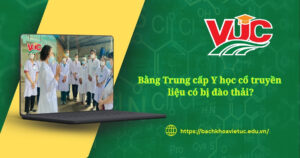 Bằng Trung cấp y học cổ truyền có bị đào thải