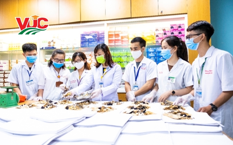 Ưu điểm khi chọn học Trung cấp Y học cổ truyền hệ từ xa, vừa học vừa làm