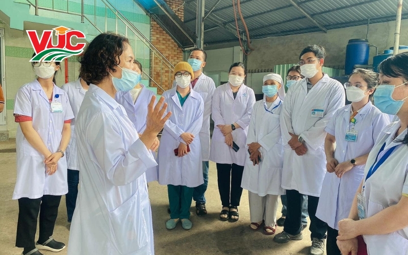 Tấm bằng Trung cấp Y học cổ truyền đang đứng ở đâu trong bản đồ Y tế?