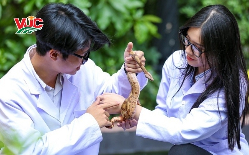 Hệ từ xa Trung cấp Thú Y - Bằng cấp chính quy 7 Thông tin tuyển sinh hệ từ xa Trung cấp Thú Y