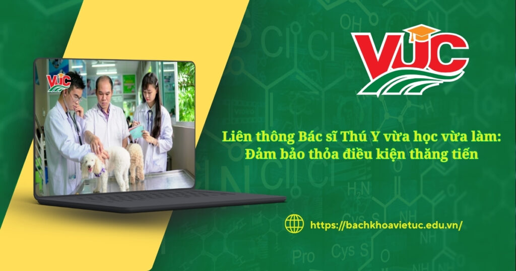 Liên thông Bác sĩ Thú Y vừa học vừa làm: Đảm bảo thỏa điều kiện thăng tiến 4 Liên thông Bác sĩ Thú Y vừa học vừa làm: Đảm bảo thỏa điều kiện thăng tiến