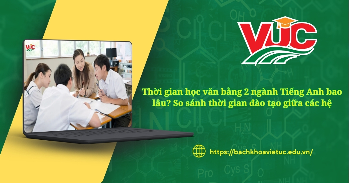 Thời gian học văn bằng 2 ngành Tiếng Anh bao lâu? So sánh giữa các hệ đào tạo