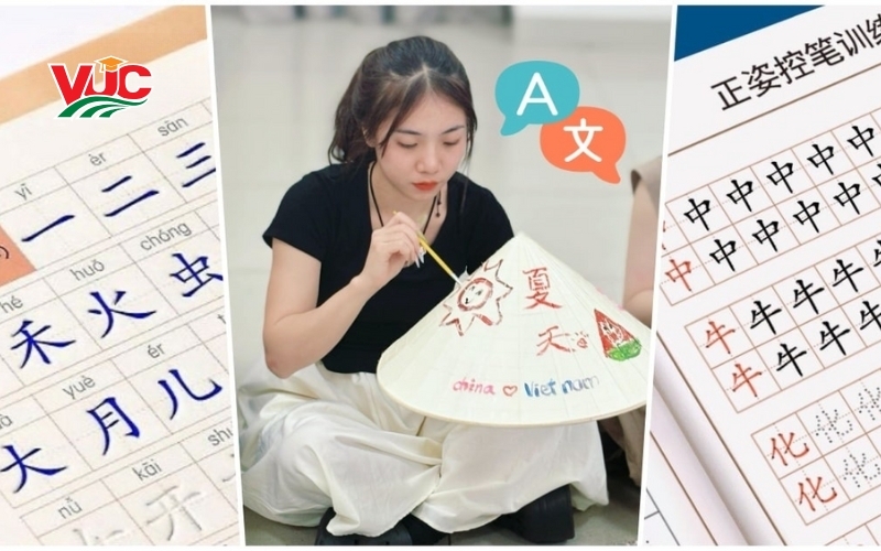 Giá trị thực tế của bằng Trung cấp Tiếng Trung hệ văn bằng 2 trong công việc