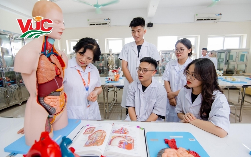 Lịch Đào tạo Y sĩ đa khoa hệ Cao đẳng – Giải pháp cho người vừa học vừa làm