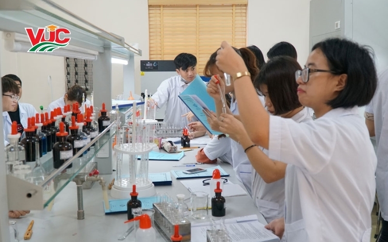 Thời gian đào tạo khóa học dược sĩ trực tuyến mất bao lâu?