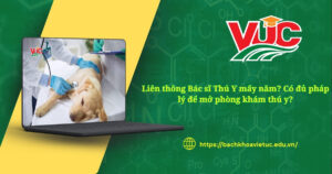 Liên thông Bác sĩ Thú Y mấy năm? Có đủ pháp lý để mở phòng khám thú y?